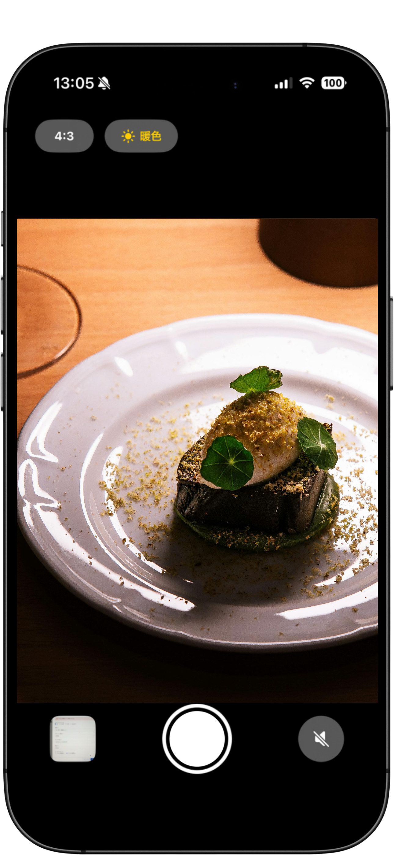 Sii - Minimal Silent Camera